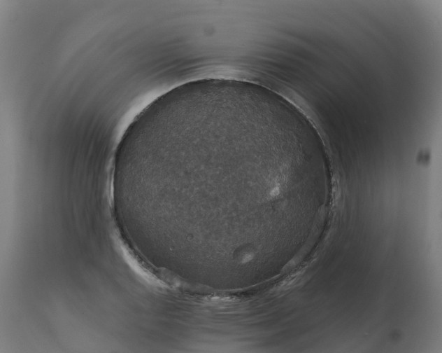 X0000112431128200908281856