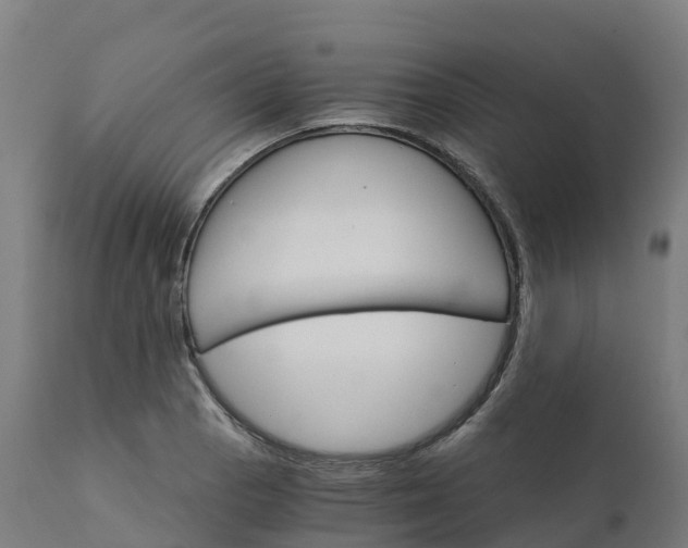 X0000112431129200908281856