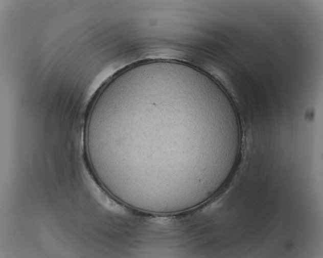 X0000112431130200908281856