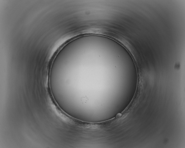 X0000112431131200908281856