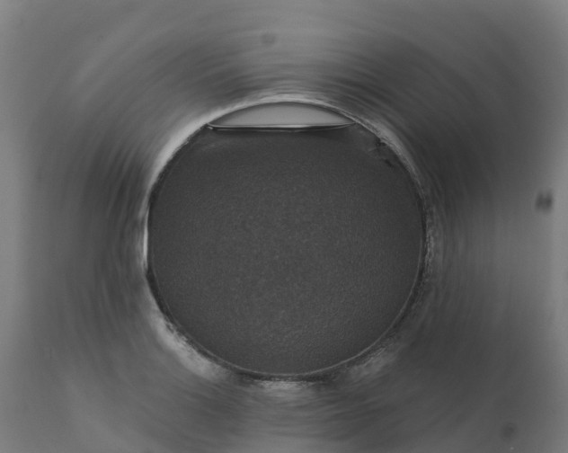 X0000112431132200908281856