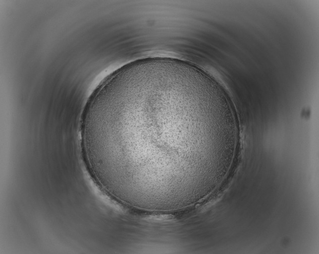 X0000112431133200908281856