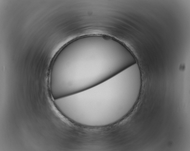 X0000112431134200908281856