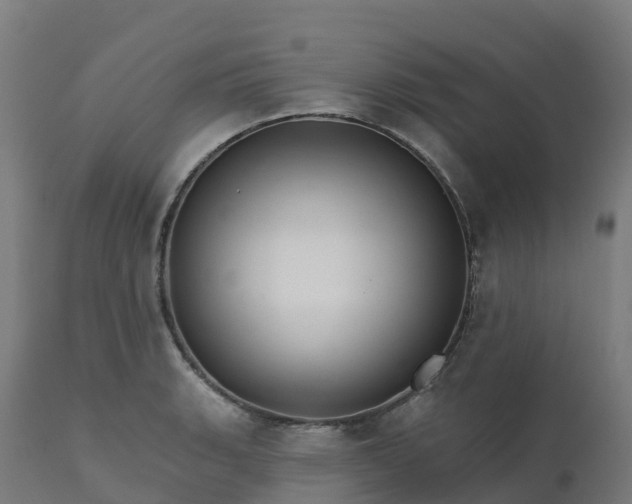 X0000112431135200908281856