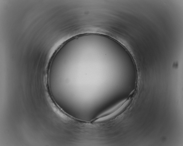 X0000112431136200908281856