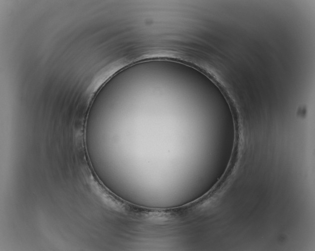 X0000112431137200908281856