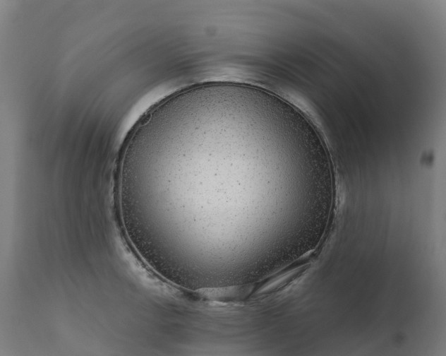 X0000112431138200908281856