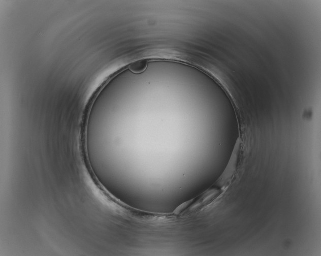 X0000112431139200908281856