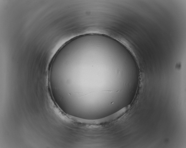 X0000112431140200908281856