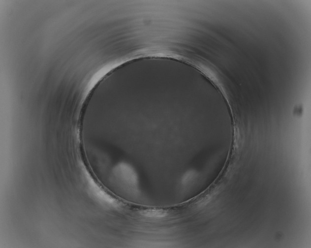 X0000112431141200908281856