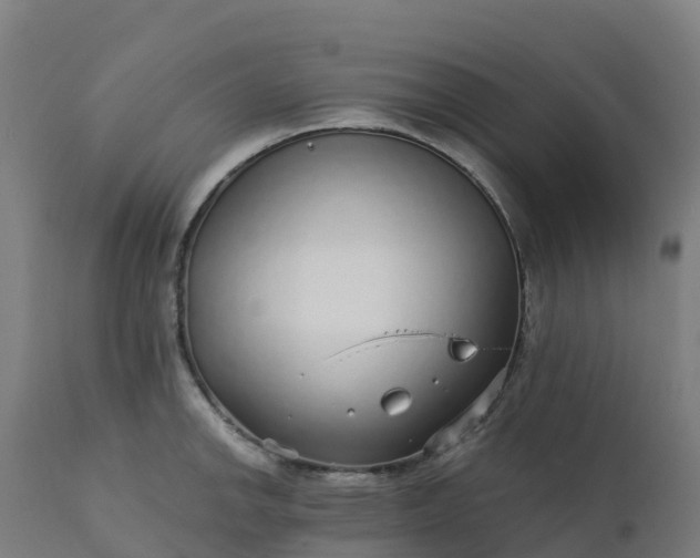 X0000112431142200908281856