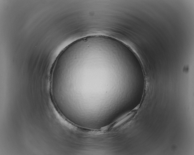 X0000112431143200908281856