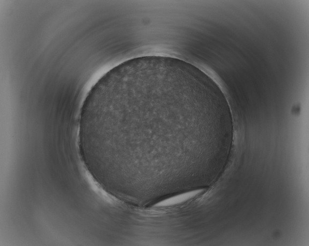 X0000112431144200908281856