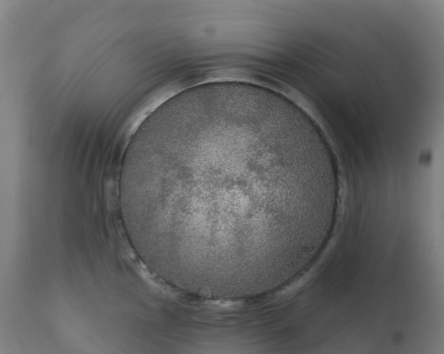 X0000112431145200908281856