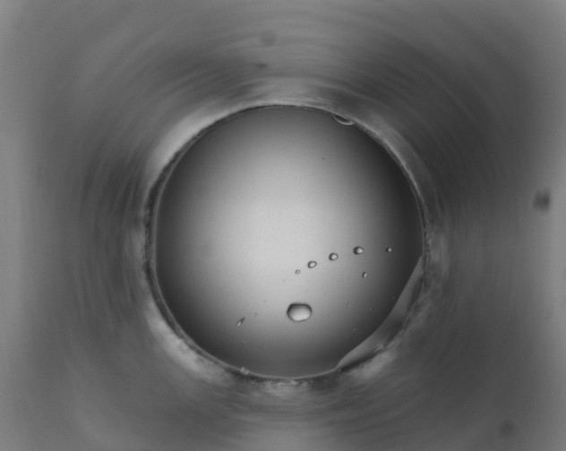 X0000112431147200908281856