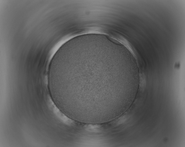 X0000112431148200908281856