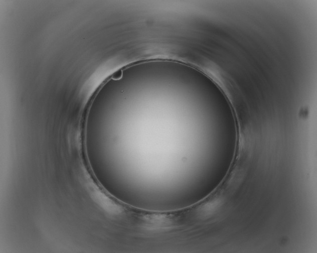 X0000112431149200908281856