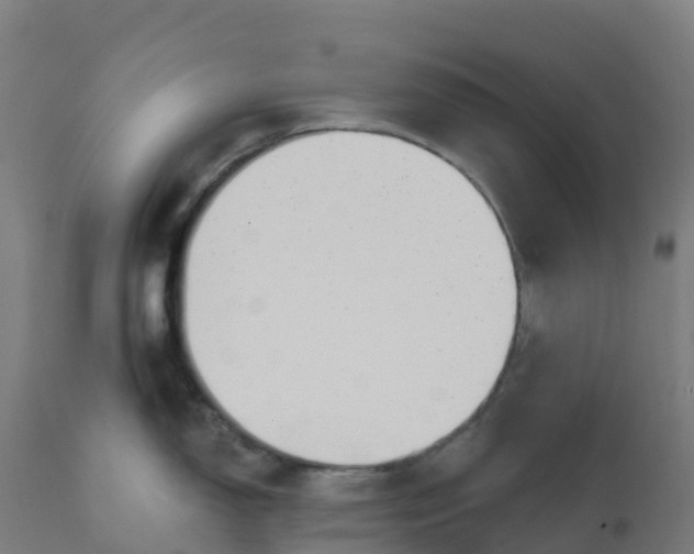 X0000112431150200908281856