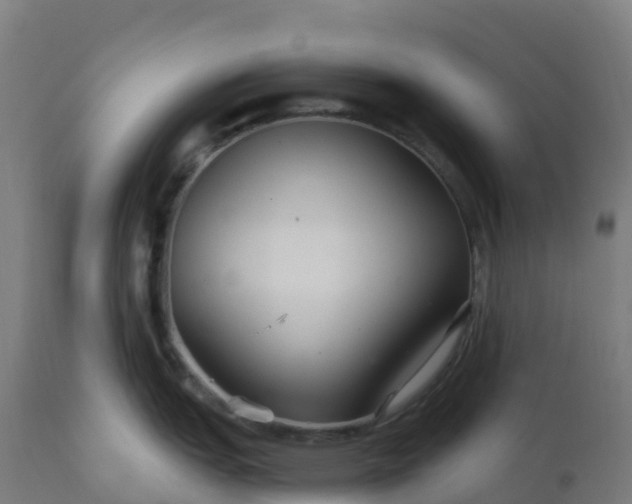 X0000112431151200908281856