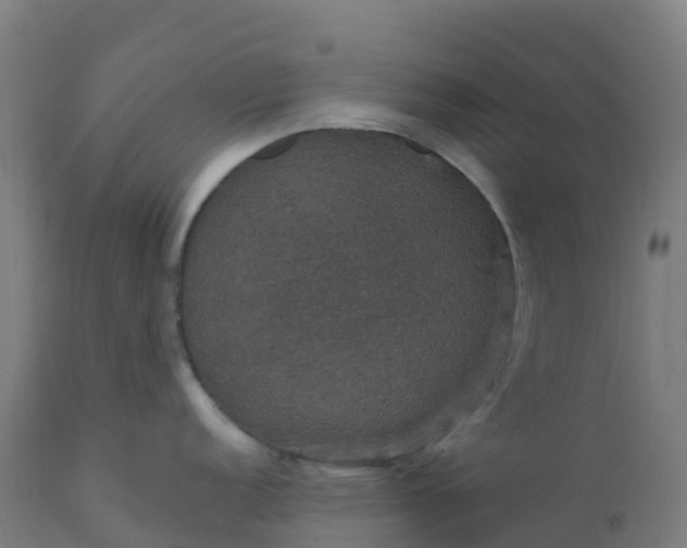 X0000112431152200908281856