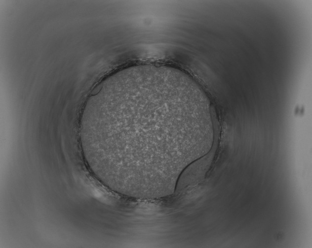 X0000112431153200908281855