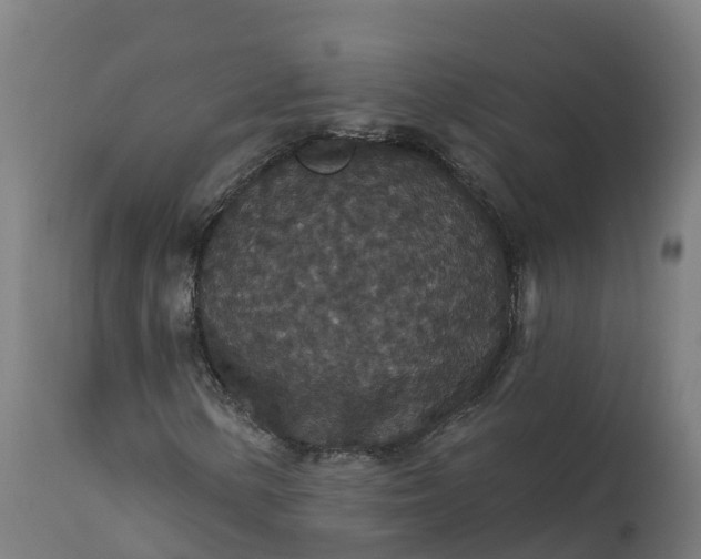 X0000112431154200908281855