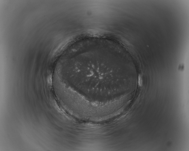 X0000112431155200908281855