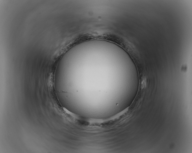 X0000112431156200908281855