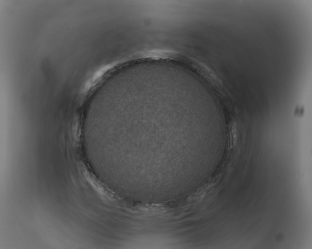 X0000112431158200908281855