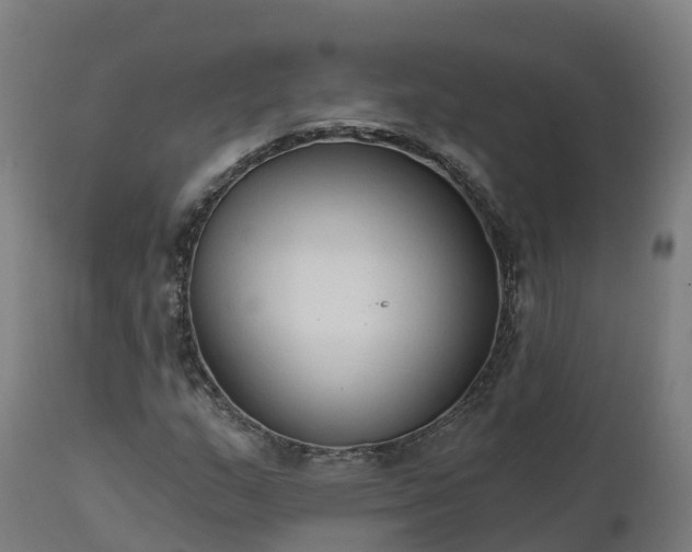 X0000112431159200908281855