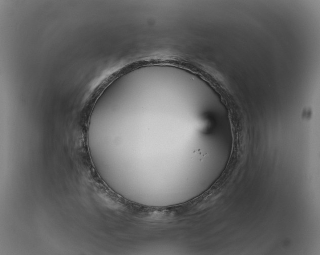 X0000112431160200908281855