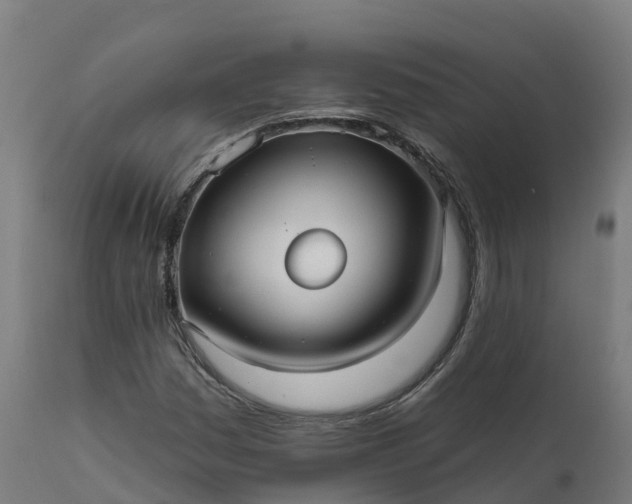 X0000112431161200908281855