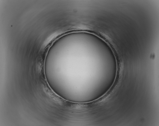 X0000112431163200908281855