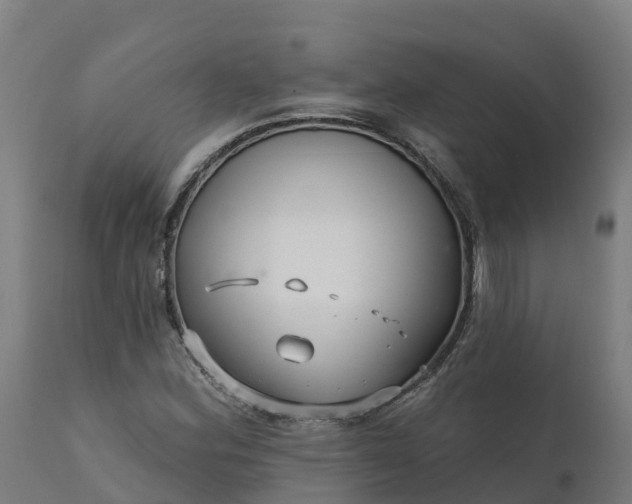 X0000112431164200908281855