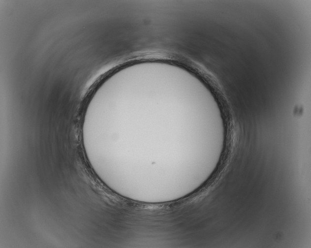 X0000112431166200908281855