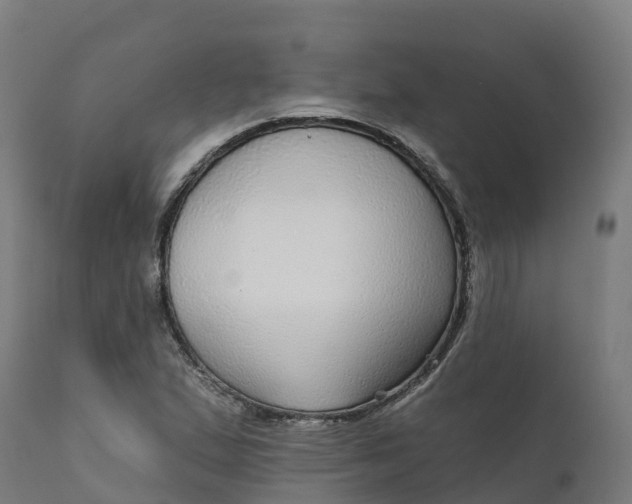 X0000112431167200908281855