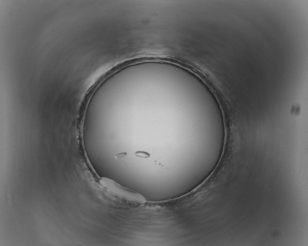 X0000112431168200908281855