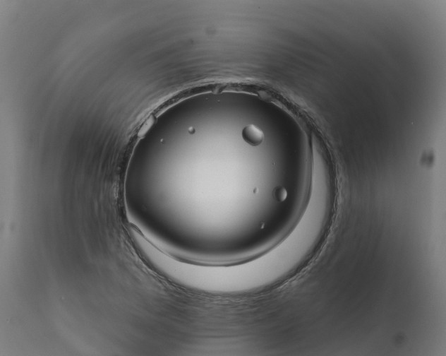 X0000112431169200908281855