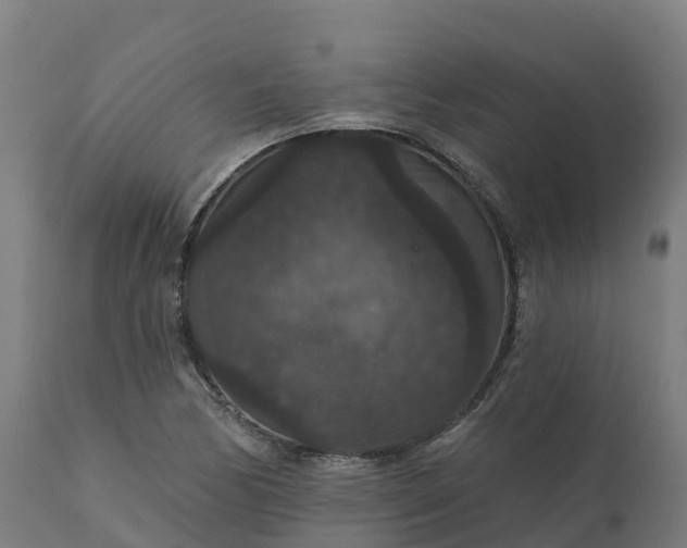 X0000112431170200908281855