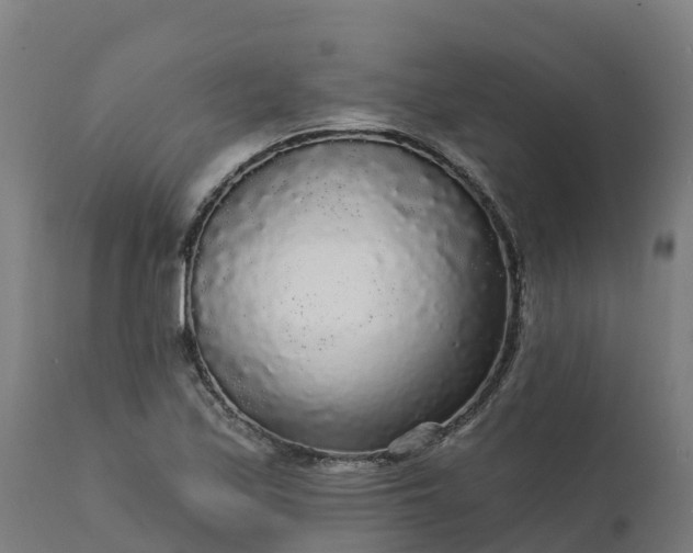 X0000112431171200908281855