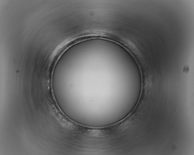 X0000112431172200908281855