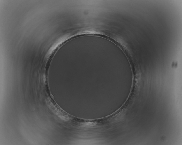X0000112431173200908281855