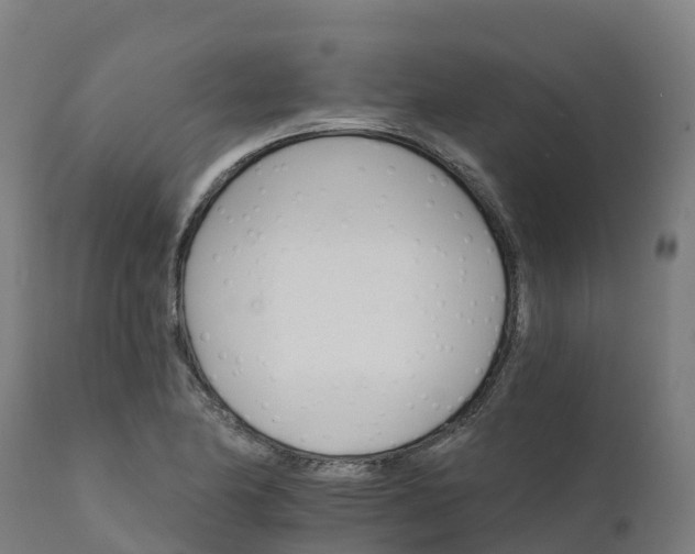 X0000112431174200908281855