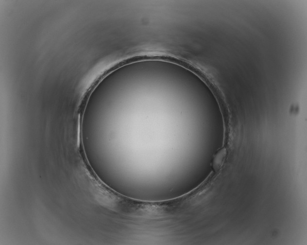 X0000112431175200908281855