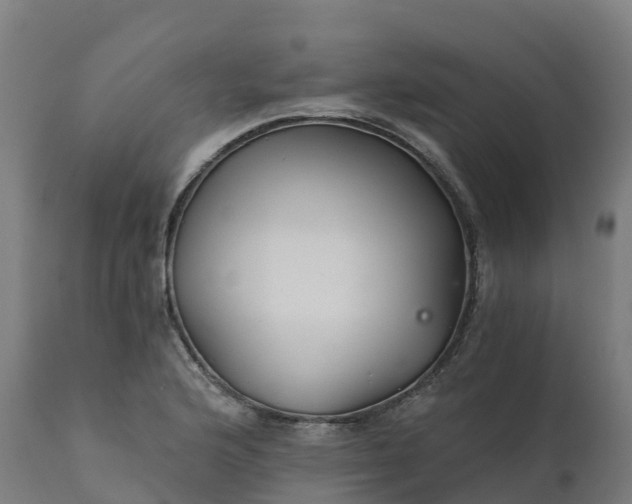 X0000112431176200908281855