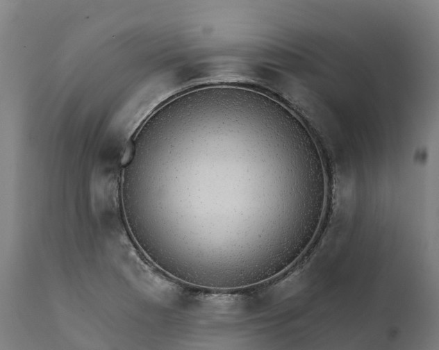 X0000112431177200908281855