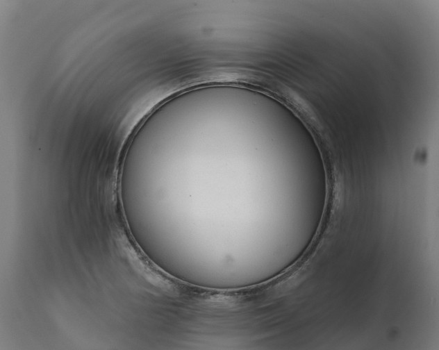 X0000112431178200908281855