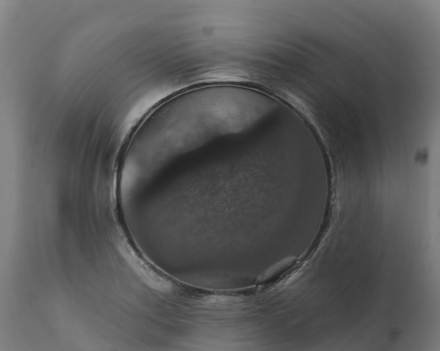 X0000112431179200908281855