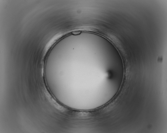 X0000112431180200908281855