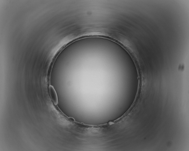 X0000112431181200908281855